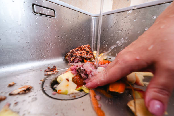 Food scraps in a sink drain opening — a common cause of garbage disposal jams
